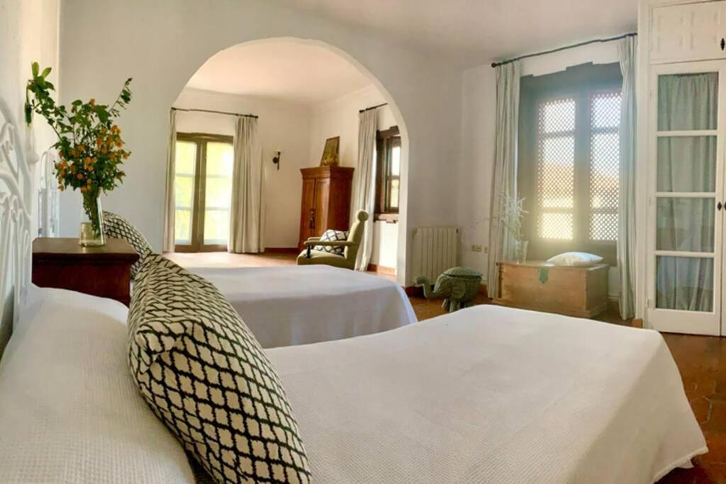 Un Autentico Oasis Rodeado De Historia Ronda Eksteriør billede